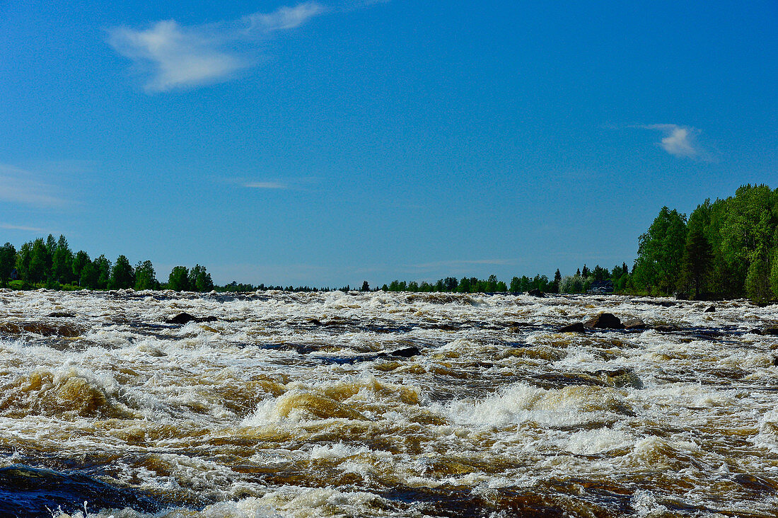 View of the rapids in the Torneälv, Pajala, Norrbotten County, Sweden