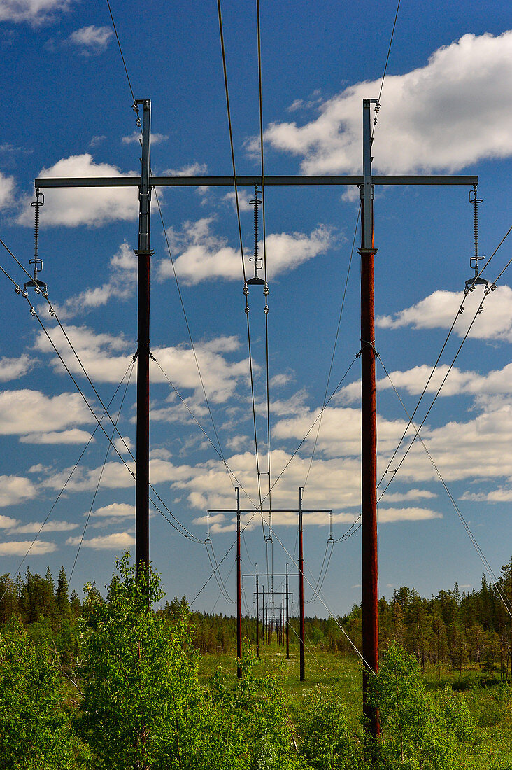 Eine endlose Reihe von Strommasten führt durch die Landschaft, bei Ullatti, Norrbottens Län, Schweden