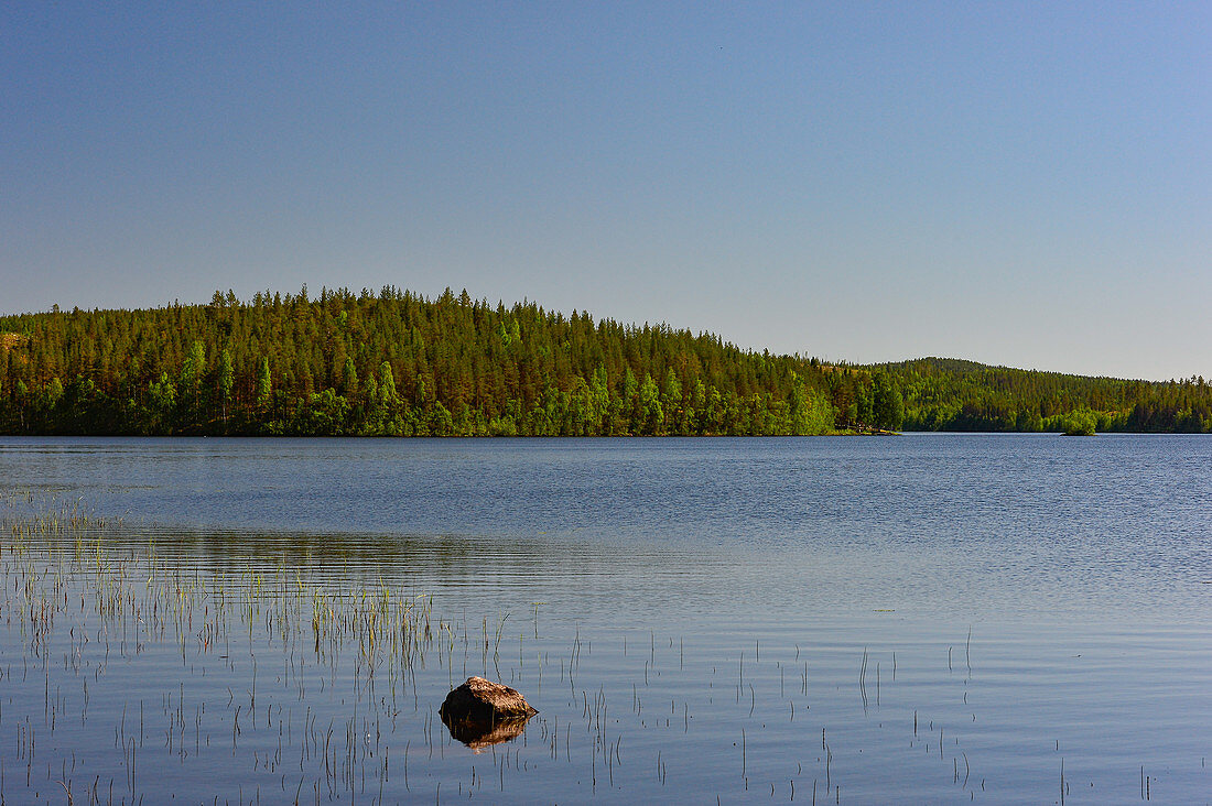 Blick auf einen Waldhügel am Hundsjön, bei Boden, Norrbottens Län, Schweden