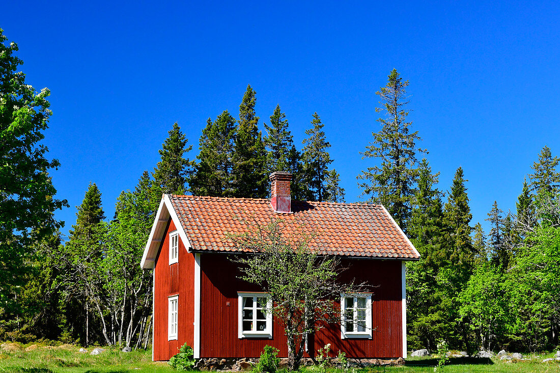 Ein kleines rotes, typisches Schwedenhaus mit Garten, bei Ned Bäck, Västerbottens Län, Schweden