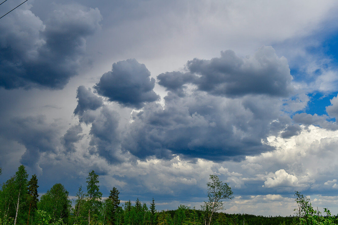 Dunkle Regenwolken über dem Wald, bei Roskmora, Provinz Örebro, Schweden