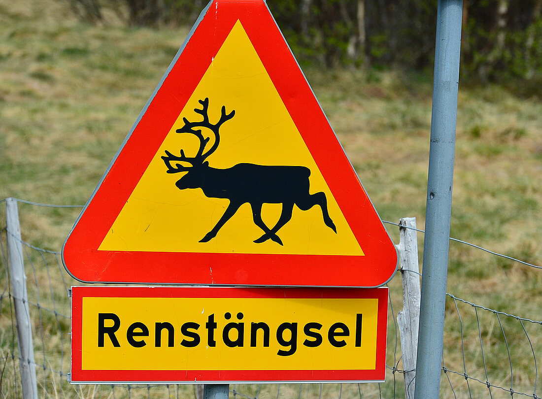Traffic sign Wildwechsel / Renstängsel, Ytterturingen, Härjedalen, Sweden
