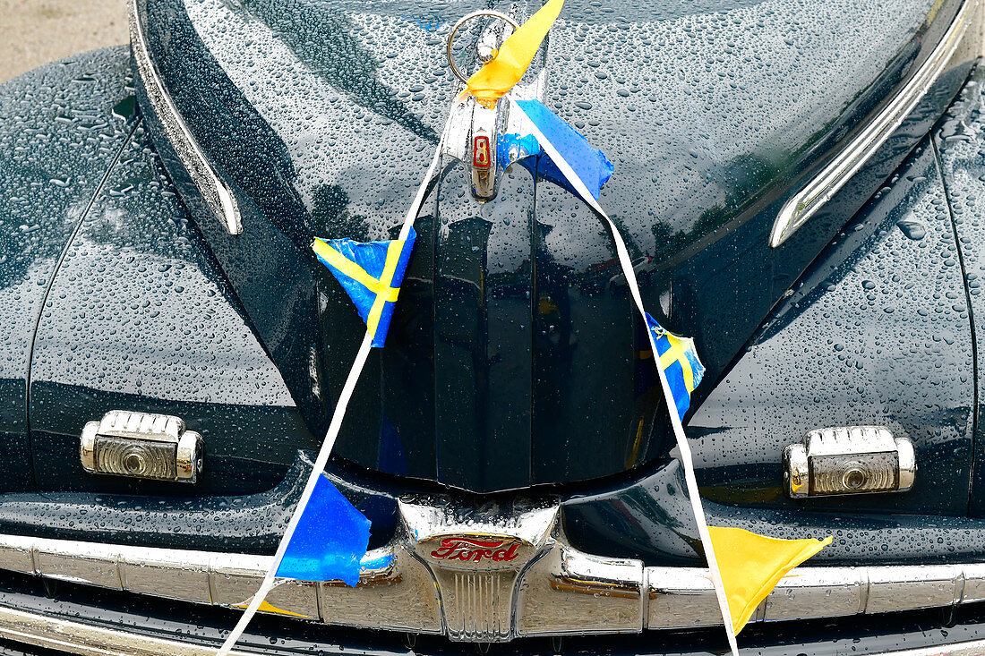 Motorhaube und Dekoration eines alten Ford, Bräcke, Provinz Jämtland, Schweden