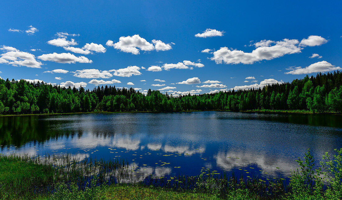 Clouds are reflected in a lonely lake in the Bjuröklubb nature reserve, Västerbottens Län, Sweden