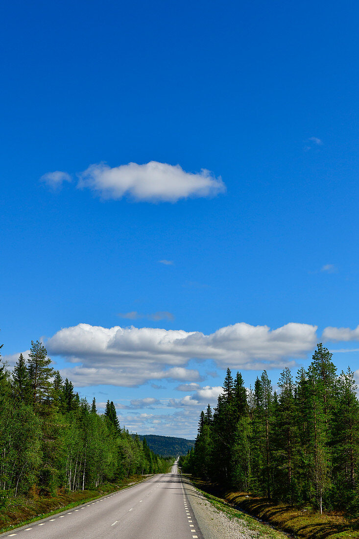 Die Landstrasse führt in die unendliche Weite Lapplands, Vinliden, Västerbotten, Schweden