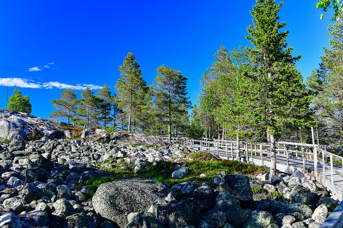 Steine und Felsen beim Aufstieg am Lehrpfad, Reservat Bjuröklubb, Västerbottens Län, Schweden