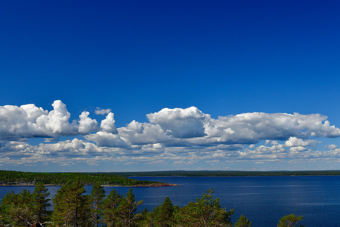 Typische Schärenlandschaft in der Ostsee bei Bjuröklubb, Västerbottens Län, Schweden