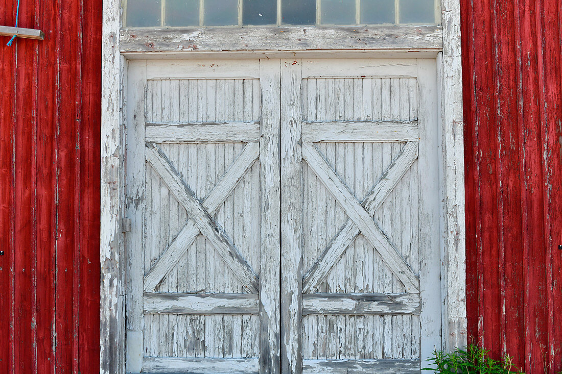 An old white wooden gate in a red boathouse, Bjuröklubb, Västerbottens Län, Sweden