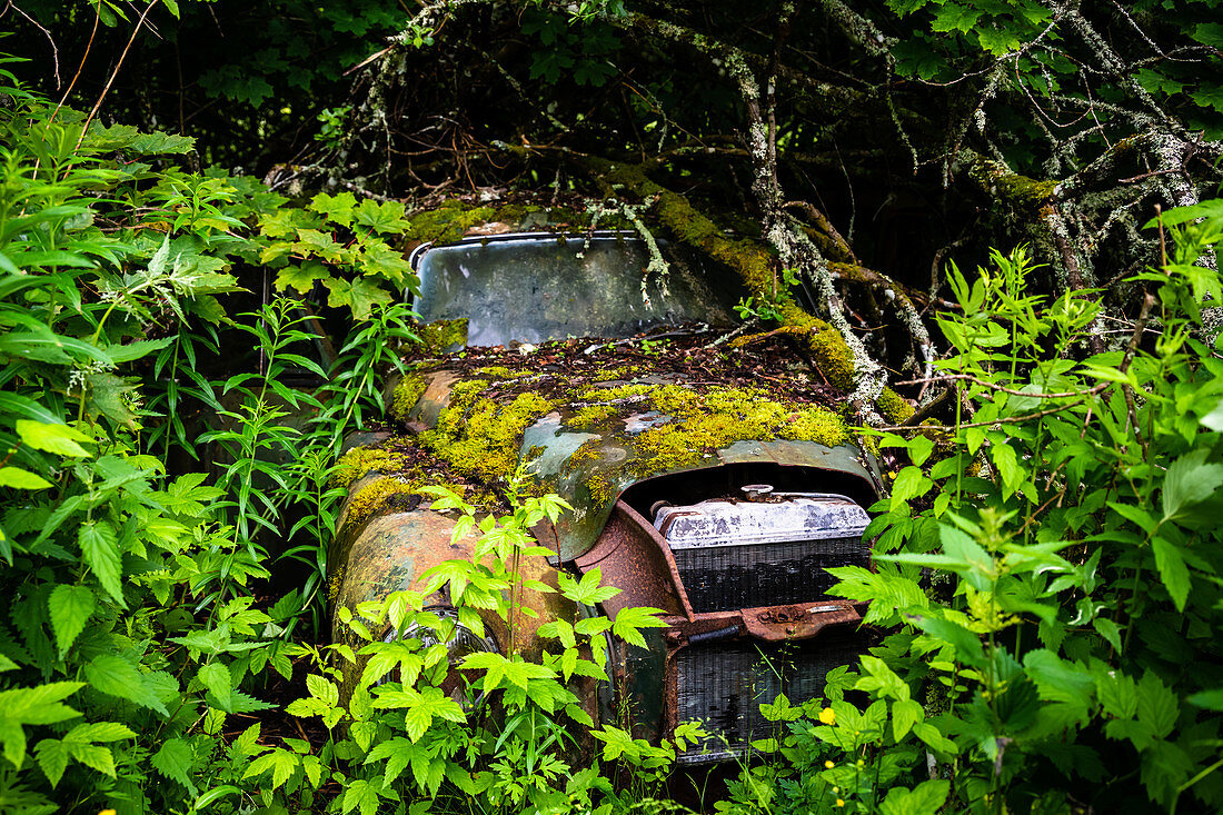 Autofriedhof im schwedischen Wald, Bastnäs, Töckfors Schweden