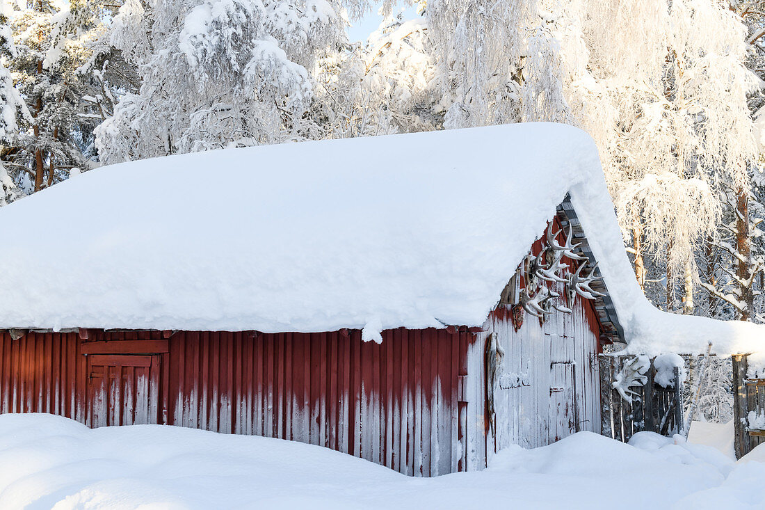 Rustic barn in Lapland in winter, Sweden