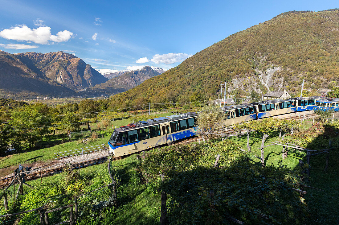 Der Centovalli-Zug (auch Vigezzine) durchquert die herbstlichen Farben in Verigo, Trontano, Nationalpark Val Grande, Val d'Ossola, Piemont, Italien
