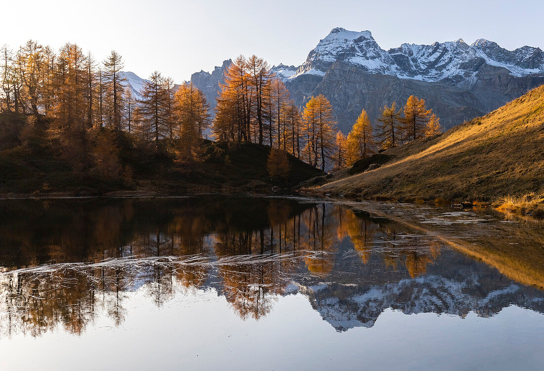 Herbstliche Reflexionen des Monte Cervandone am Lago Superiore del Sangiatto, Alpe Devero, Valle Antigorio, Piemont, Italien