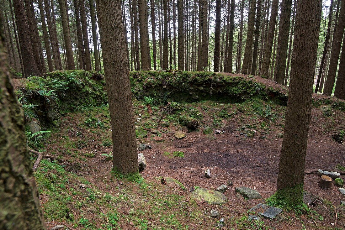 United Kingdom, Northern Ireland, County Down, Bryansford, the verdant and vibrant Tollymore Forest Park is where Theon is stalked by Ramsay Snow, and has been used to depict the snow-covered lands between Winterfell and the Wall