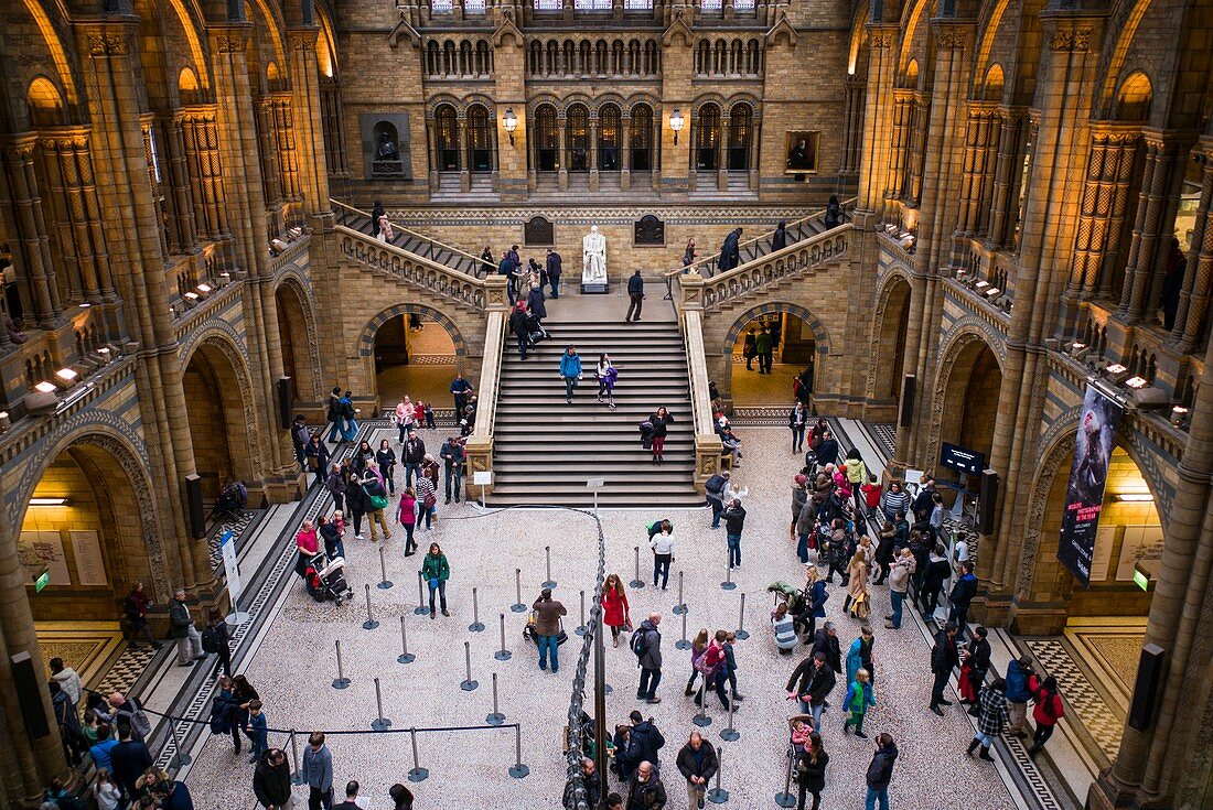 England, London, South Kensington, Natural History Museum (Naturhistorisches Museum), Interieur