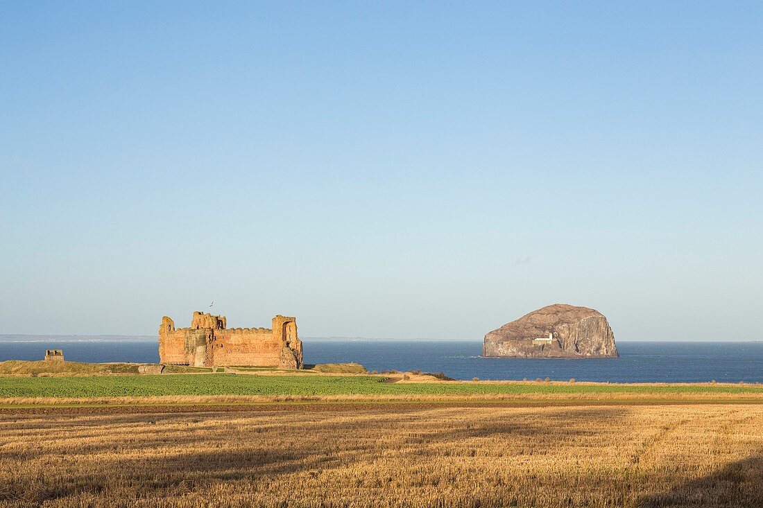 United Kingdom, Scotland, East Lothian, North Berwick, the Tantallon Castle built in the 14e century and Bass Rock Island, the world's largest colony of Northern gannets