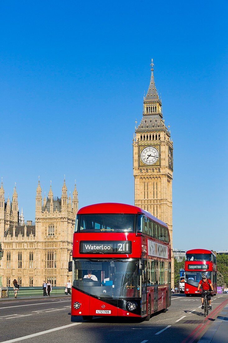 Vereinigtes Königreich, London, Bezirk Westminster, Westminster Bridge, der Glockenturm des Westminsterpalasts (Palace of Westminster) oder Elizabeth Tower mit der berühmten Big Ben Glocke, rote Doppeldeckerbusse