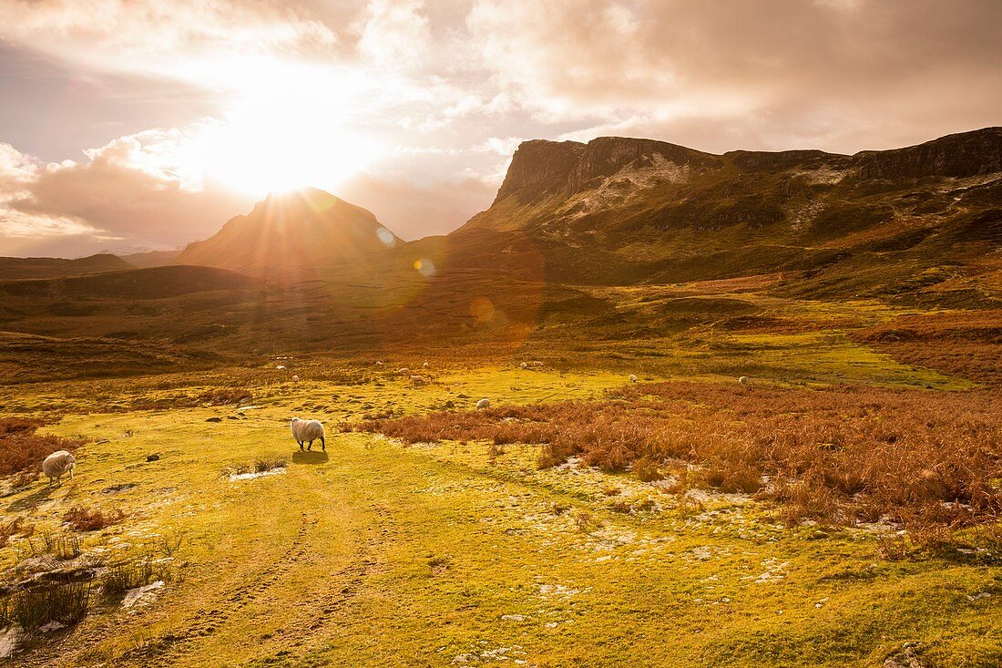 Vereinigtes Königreich, Schottland, Highland, Innere Hebriden, Isle of Sky, Halbinsel Trotternish, die Landschaft von Quiraing im Winter