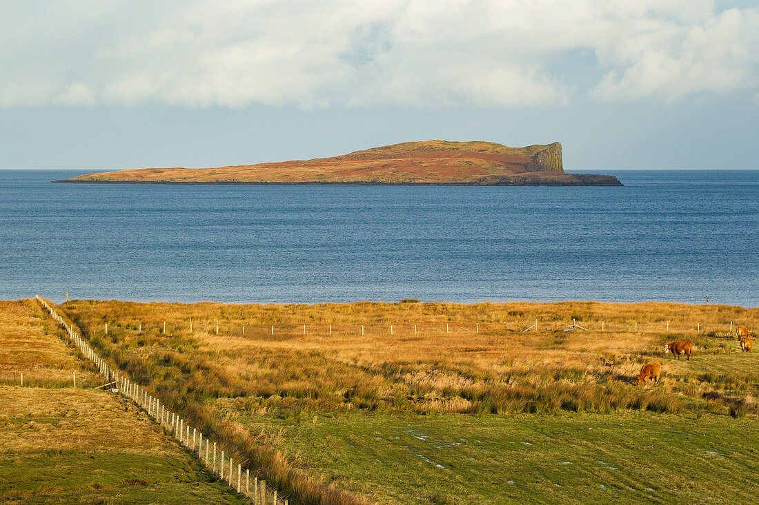 United Kingdom, Scotland, Highlands, Inner Hebrides, Isle of Skye, Trotternish, Staffin Island