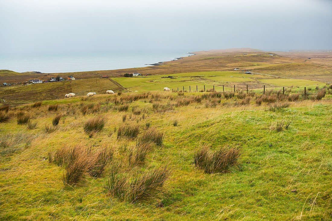 United Kingdom, Scotland, Highlands, Inner Hebrides, Isle of Skye, Trotternish, Kilmuir