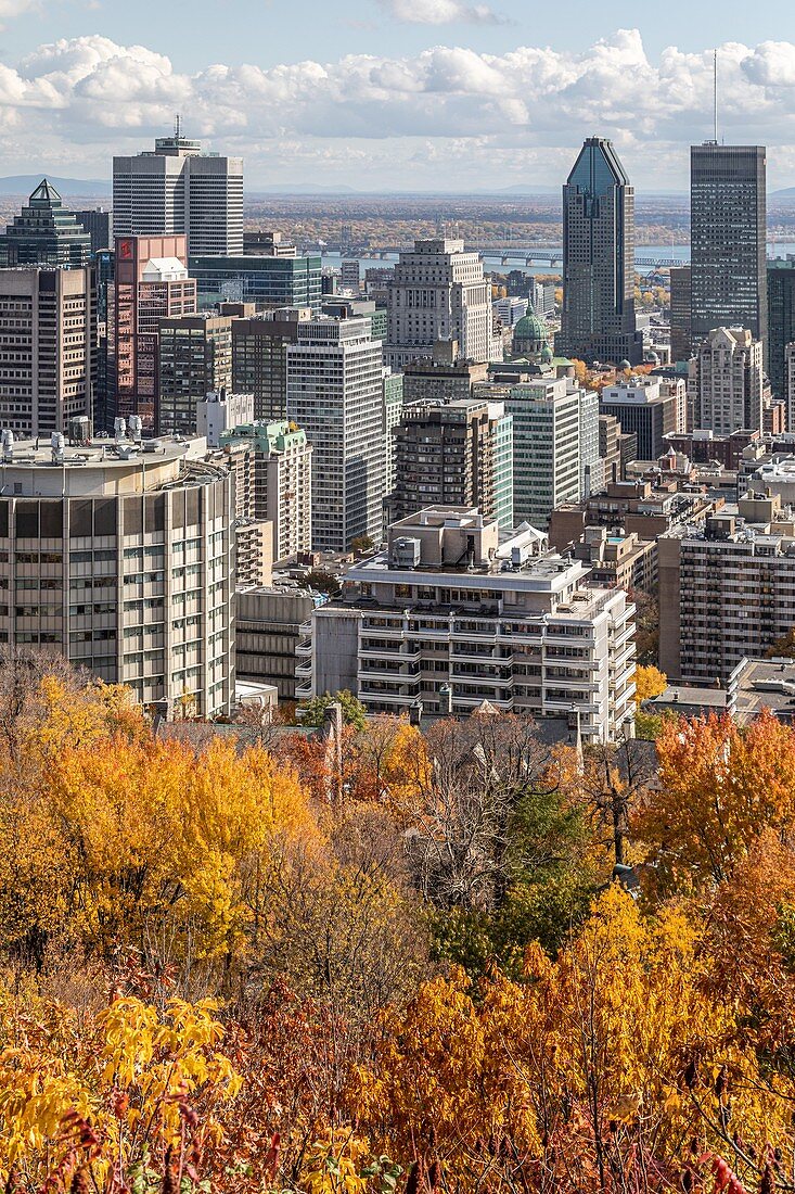 Herbstfarben im Mont-Royal Park und Blick auf Das Geschäftsviertel der Stadt Montreal, Quebec, Kanada