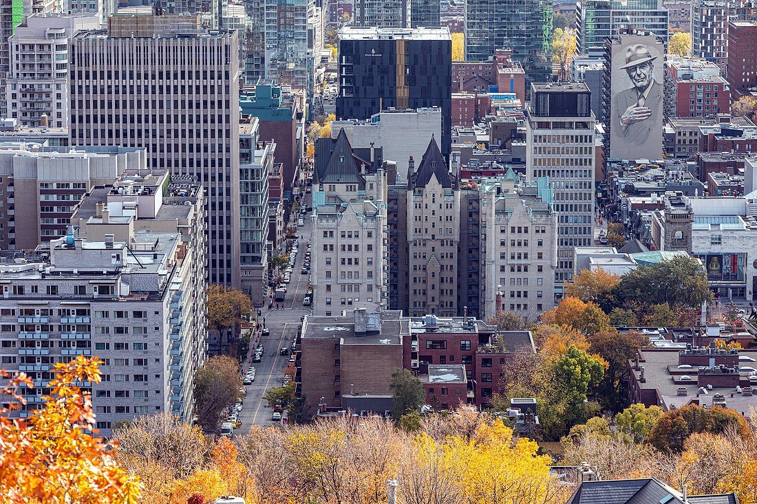 Herbstliche Farben im Park Mont-Royal und Blick auf das Geschäftsviertel, Wandbild von Leonard Cohen, Stadt Montreal, Quebec, Kanada