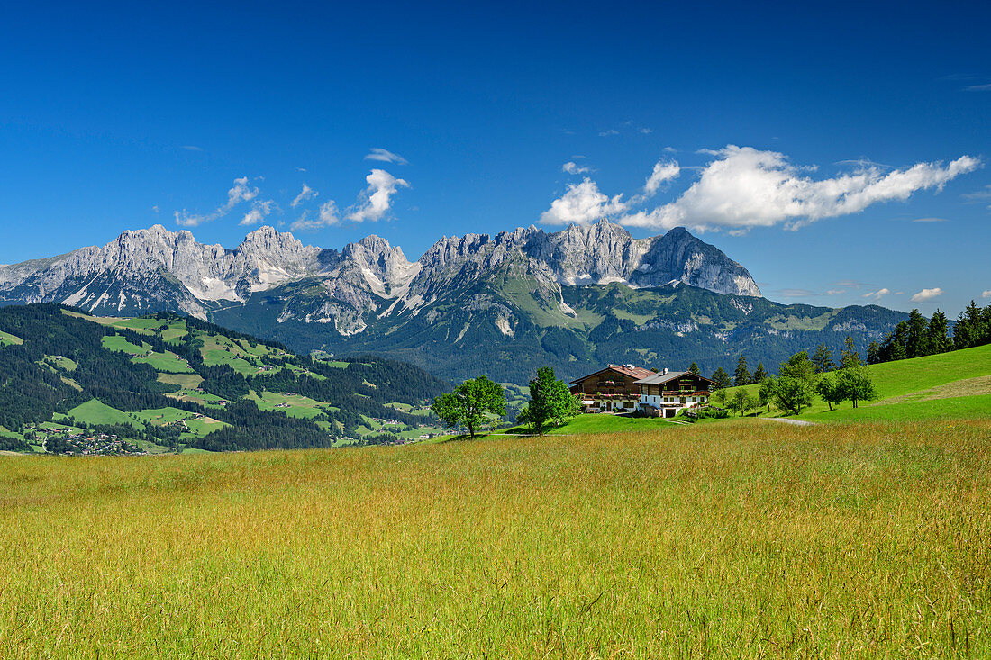 Bergbauernhof mit Kaisergebirge im Hintergrund, Kitzbüheler Alpen, Tirol, Österreich