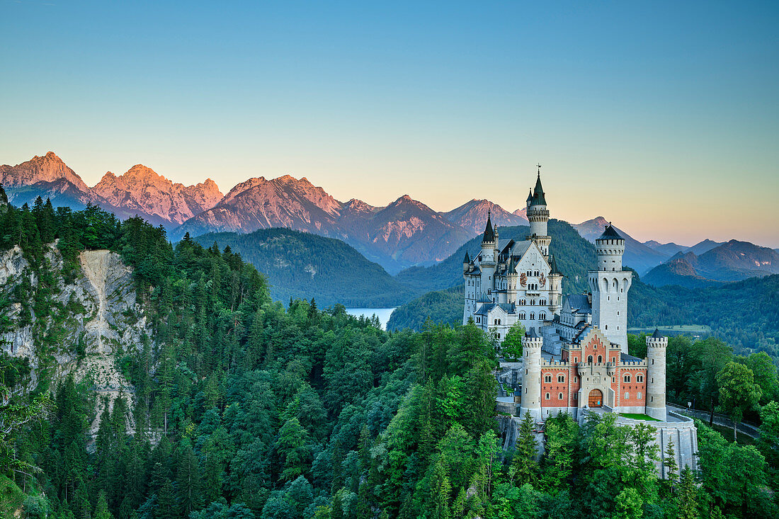 Neuschwanstein Castle in front of Tannheimer Mountains in the dawn, Neuschwanstein, Ammer Mountains, Ammergau Alps, Swabia, Bavaria, Germany