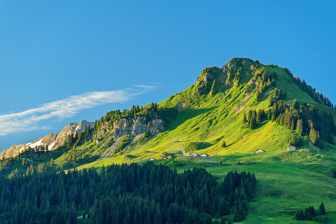 Blick auf Alpe Unterpartnom, Biosphärenreservat Großes Walsertal, Bregenzerwaldgebirge, Bregenzerwald, Vorarlberg, Österreich