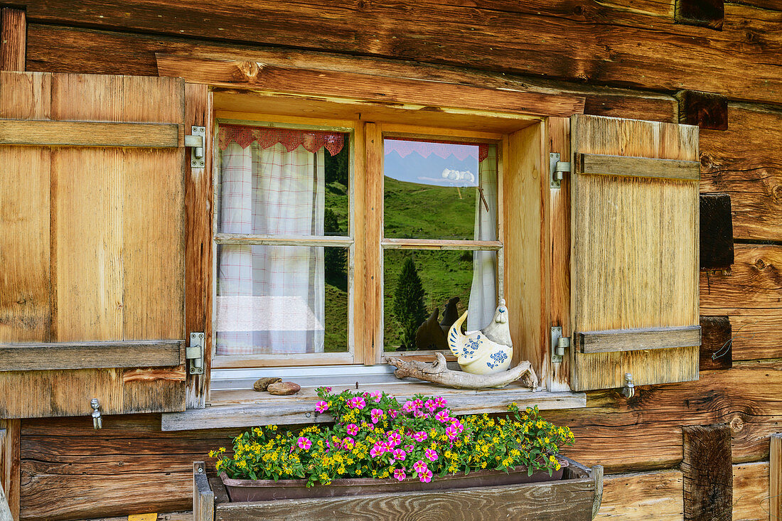 Fenster mit Blumenschmuck, Alpe Steris, Biosphärenreservat Großes Walsertal, Lechquellengebirge, Vorarlberg, Österreich