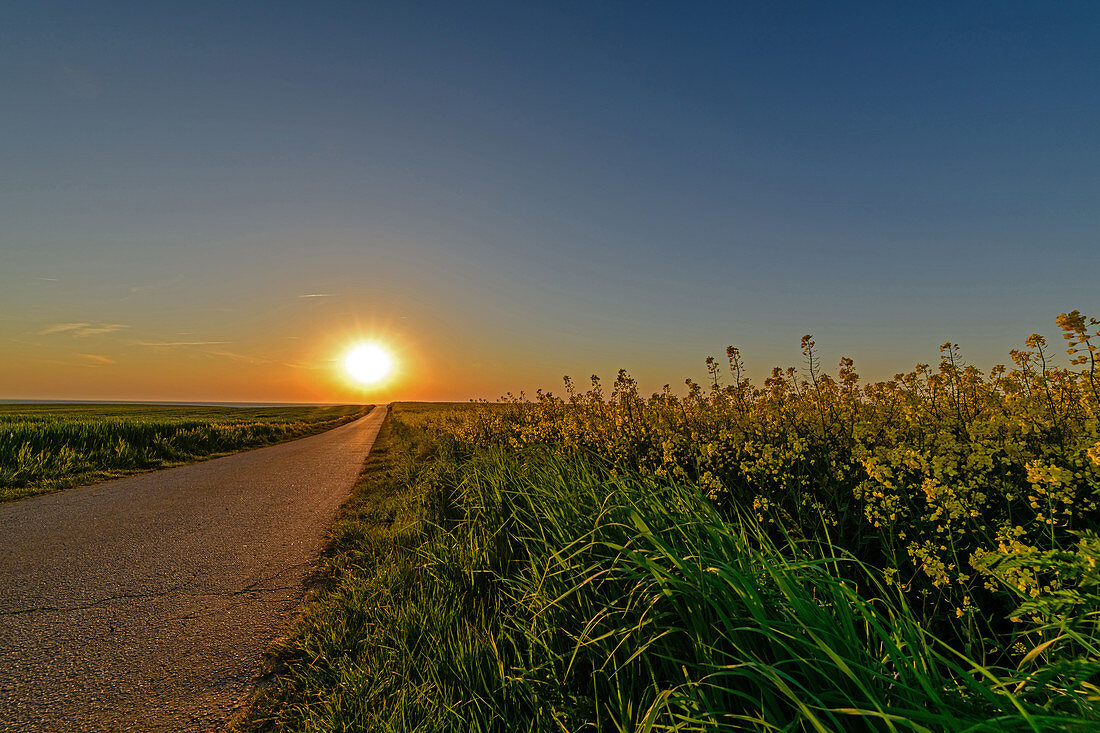 Sunset at the end of a road, Baltic Sea, Ostholstein, Schleswig-Holstein, Germany