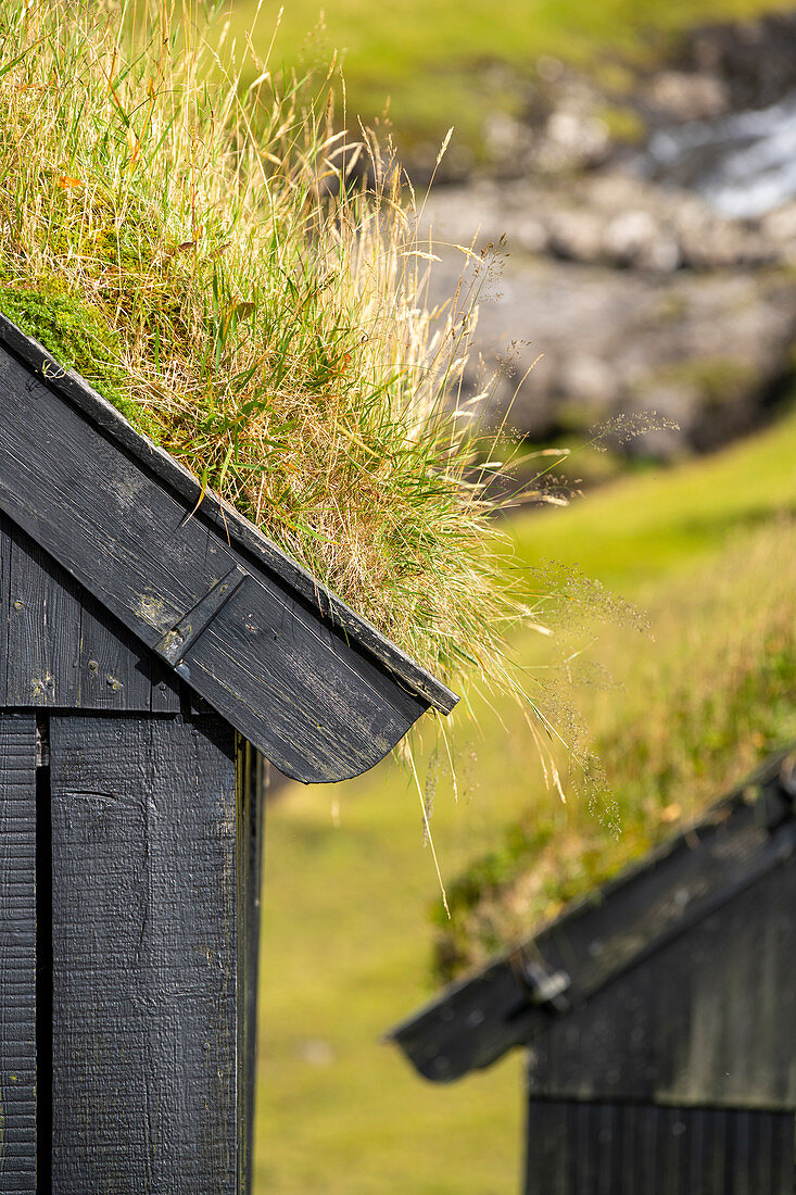 Detail eines historischen Hauses mit grasbewachsenem Dach, Dorf Saksun, Insel Streymoy auf den Färöer Inseln