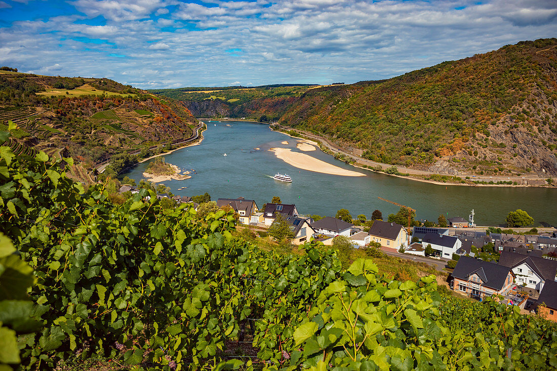 Der Rhein mit Blick auf Oberwesel, Rheinland-Pfalz, Deutschland