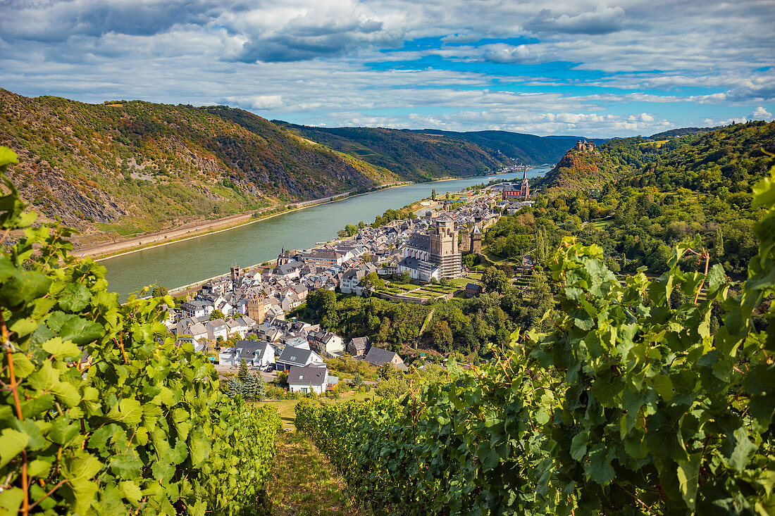 The Rhine overlooking Oberwesel, Rhineland-Palatinate, Germany