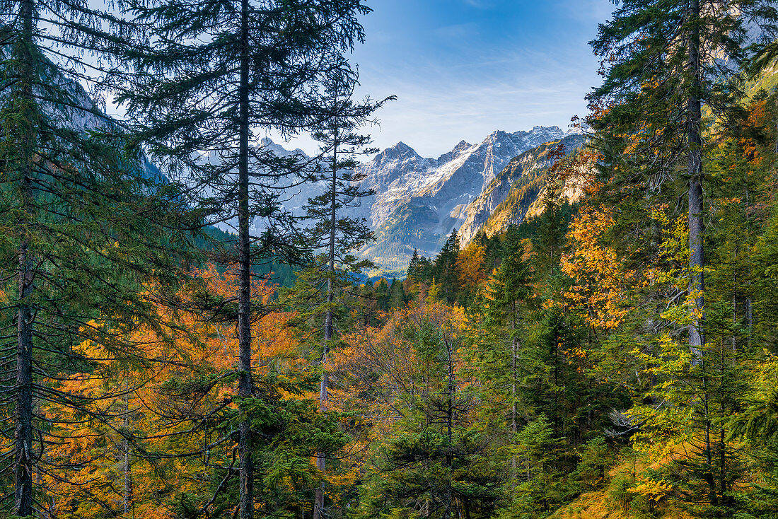 View of the Lalidererwände in autumn, Hinterriss, Austria