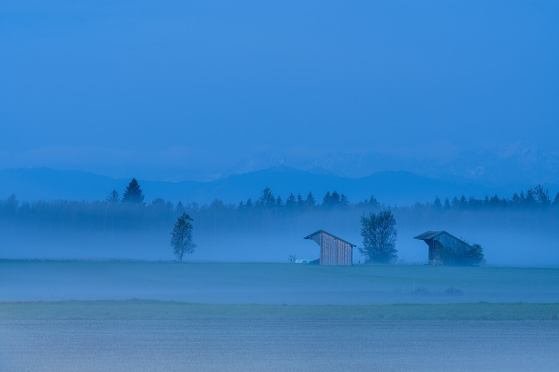 Fog morning in the Weilheimer Moos, Weilheim, Germany