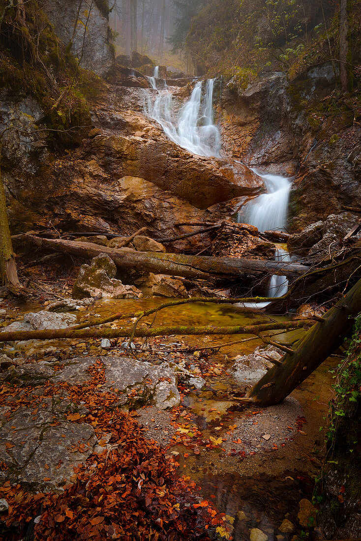 Herbst am unteren Lainbach Wasserfall, Kochel am See, Bayern, Deutschland