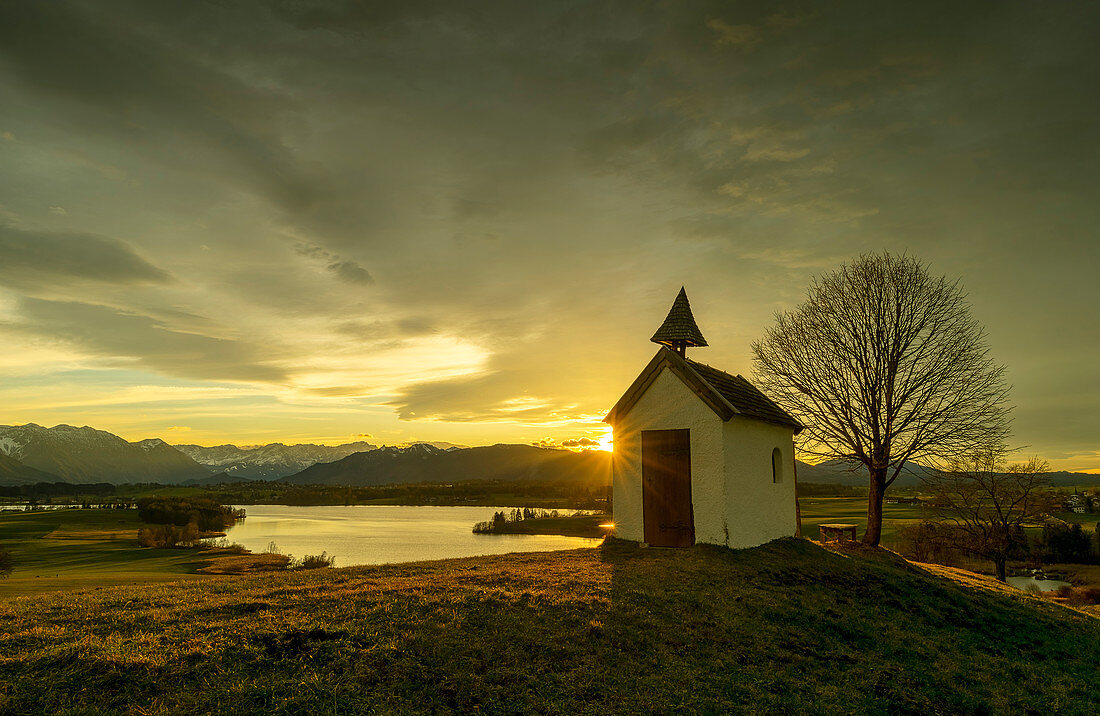 April evening on the Aidlinger Höhe, Aidling, Germany