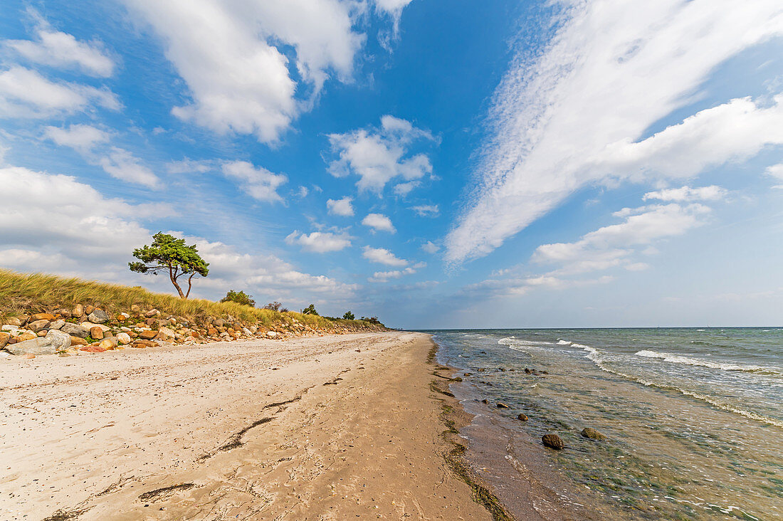 Herbst am Strand von Klostersee Kellenhusen, Ostsee, Ostholstein, Schleswig-Holstein, Deutschland