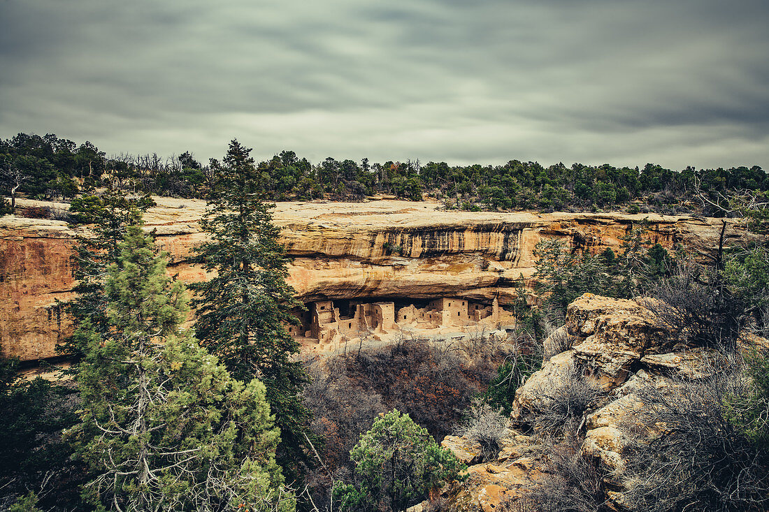 Cliff Palace in Mesa Verde National Park, Colorado, USA, North America