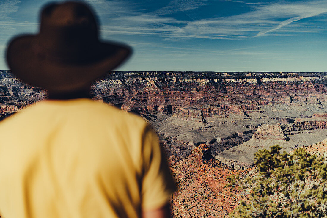 Man looks out into the Grand Canyon, Grand Canyon National Park, Arizona, USA, North America