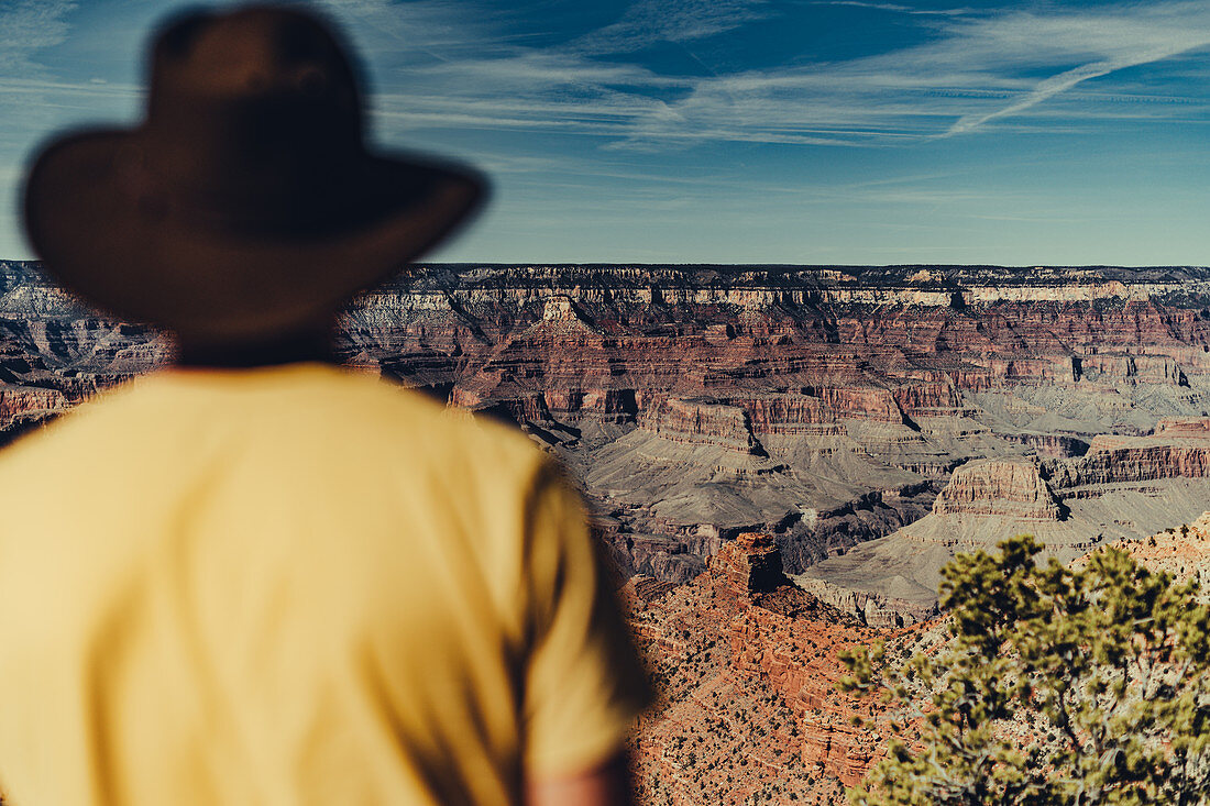 Mann blickt in den Grand Canyon, Grand Canyon Nationalpark, Arizona, USA, Nordamerika