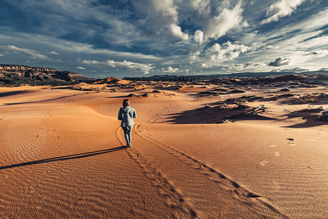 Person running in Coral Pink Sand Dunes State Park, Utah, USA, North America