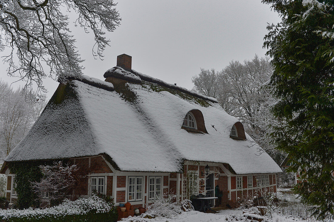 A thatched roof half-timbered house from the 19th century in winter, Geestland, Cuxhaven district, Lower Saxony