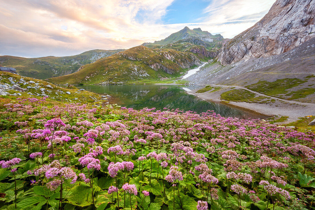 Morgendämmerung am Wolayer See, Karnische Alpen, Lesachtal, Kärnten, Österreich