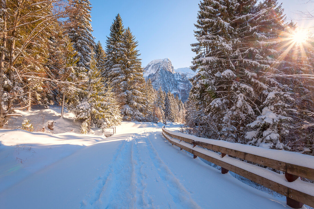 Die Straße, die in der Wintersaison zur Hochebene des Montasio führt, mit dem Berg Poviz im Hintergrund, Julische Alpen, Chiusaforte, Provinz Udine, Friaul-Julisch Venetien, Italien