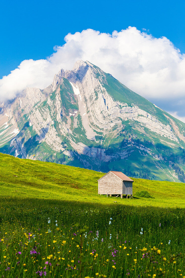 Old hut with Altmann mountain in the background.. Alt Sankt Johann,Toggemburg,Canton of San Gallo, Switzerland, Europe