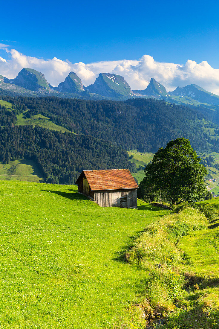 Old hut with Churfirsten mountain in the background. Alt Sankt Johann,Toggemburg,Canton of San Gallo, Switzerland, Europe