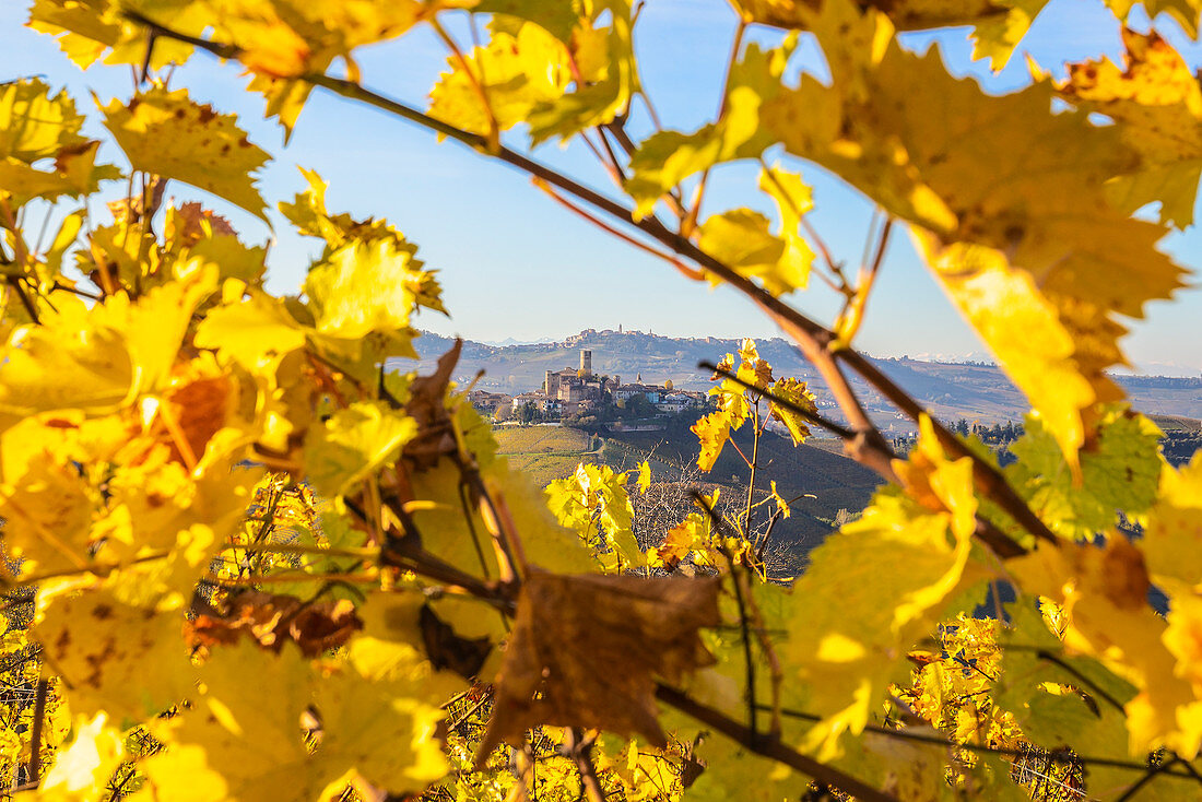 Das Dorf Castiglione Falletto zwischen Herbstfarben, Weinregion Barolo, Langhe, Piemont, Italien, Europa