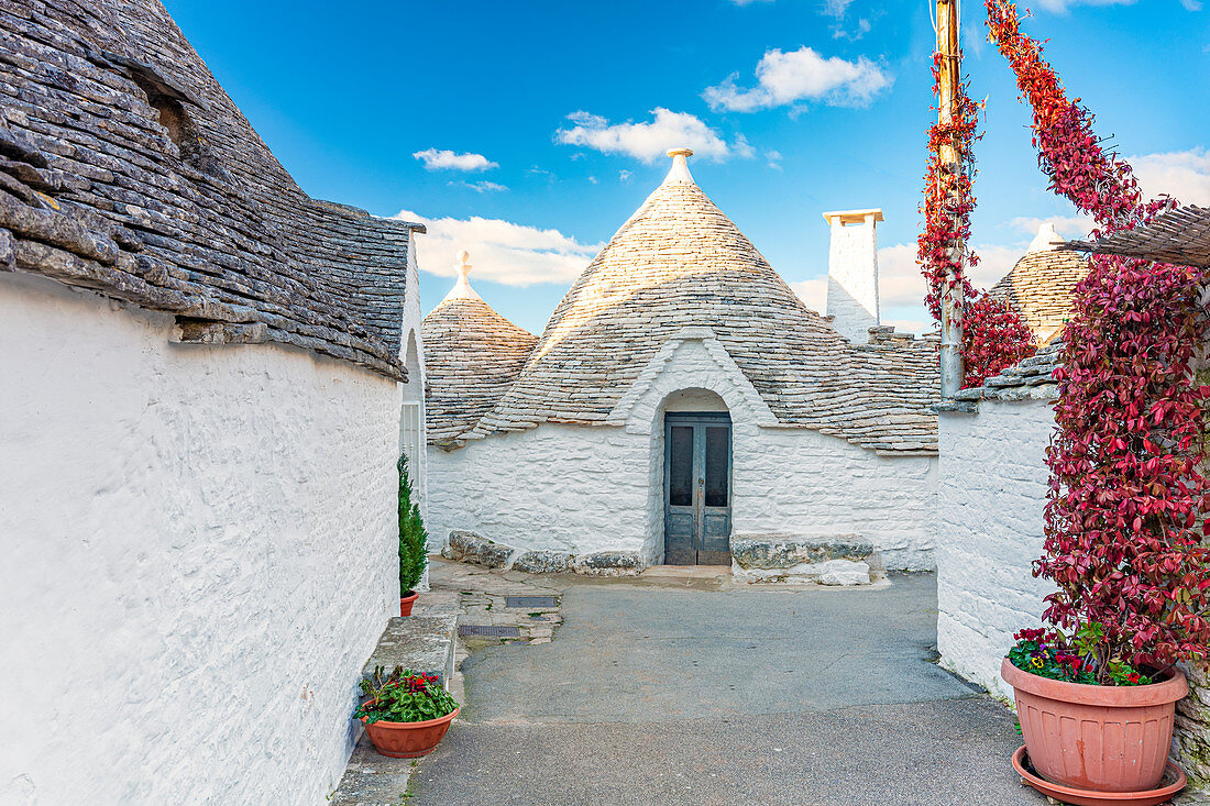 Traditional trullo house. Unesco World Heritage Site, Alberobello, Province of Bari, Apulia, Italy, Europe.