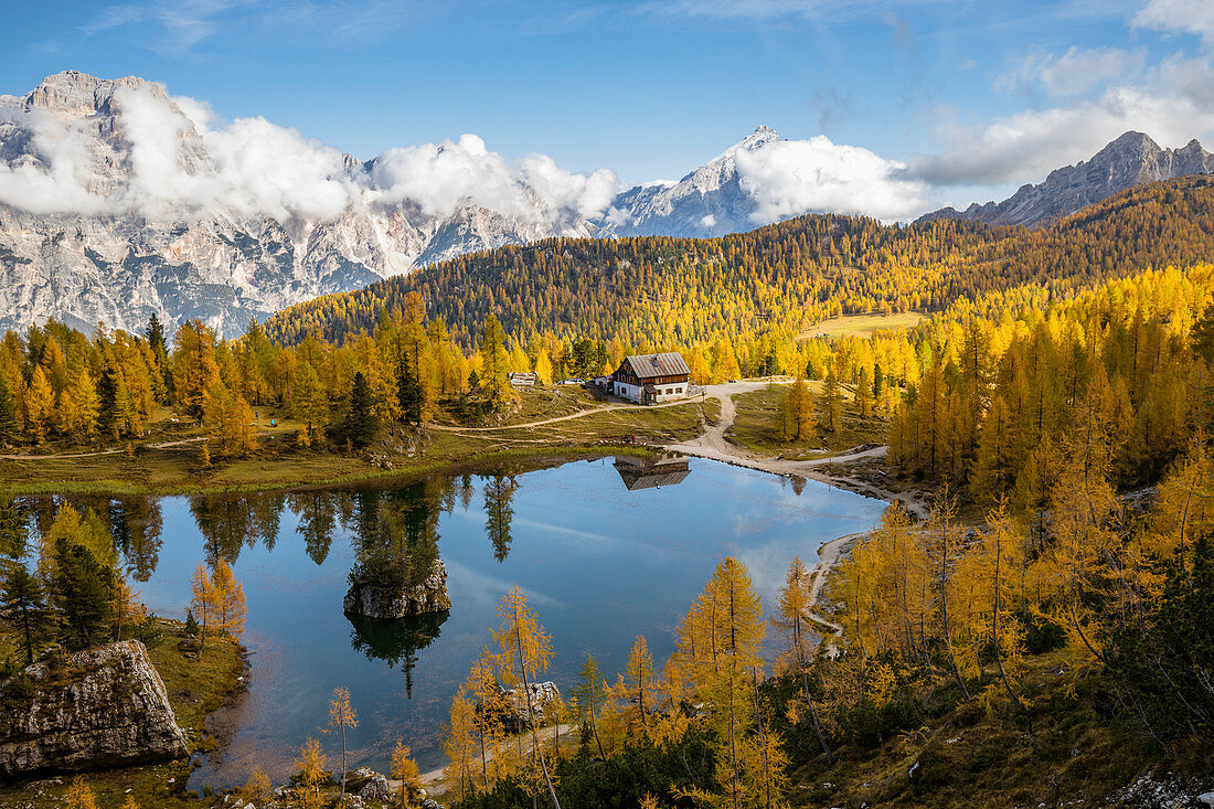 Italien, Venetien, Provinz Belluno, Cortina d'Ampezzo, der Federa-See, umgeben von Lärchen mit Herbstlaub